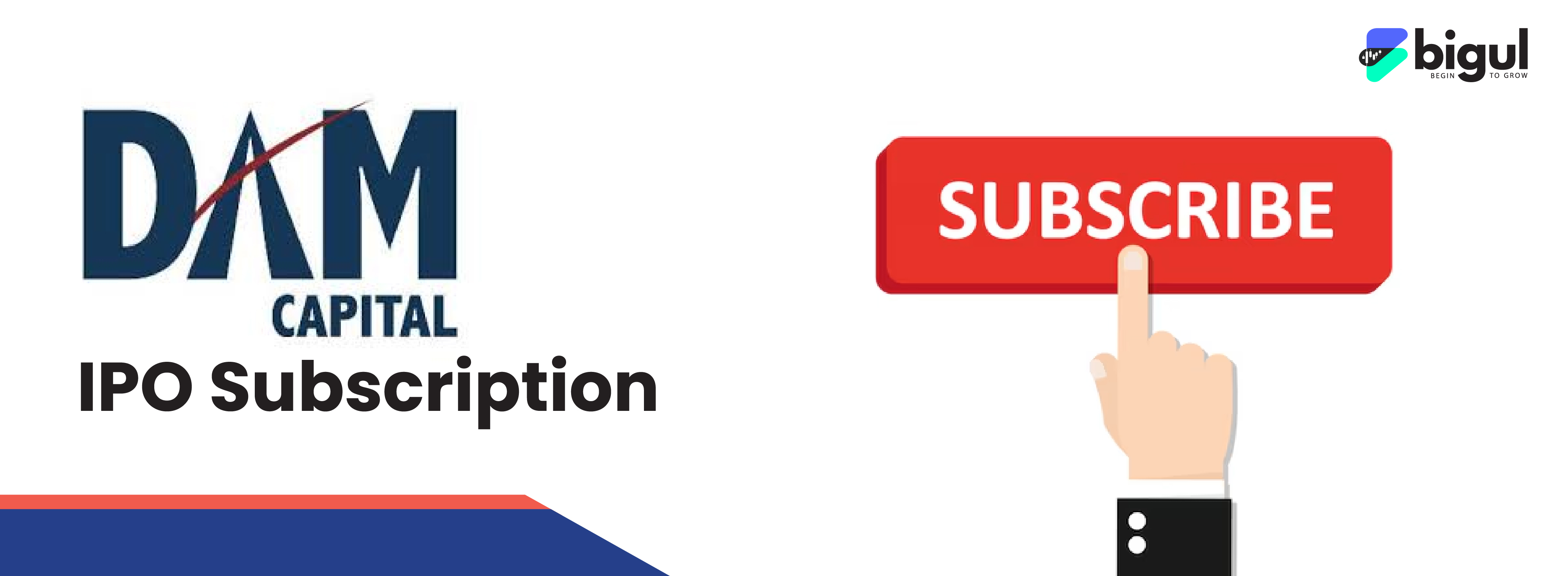 IPO Subscription Status